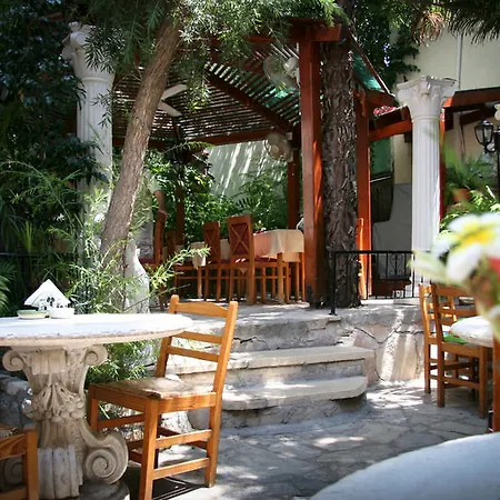 比纳莱斯传统餐厅酒店 Paphos